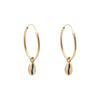 Cowrie Shell Hoop Earrings