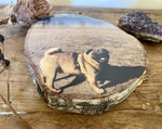 Pet Portrait - Personalised Wood Slice Silver Birch