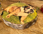 Pet Portrait - Personalised Wood Slice Silver Birch