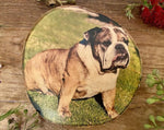 Pet Portrait - Personalised Wood Slice Silver Birch